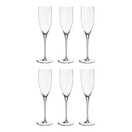 Leonardo - POESIA Champagne Glasses 250ml - Pack of 6 Leonardo - POESIA Champagne Glazen 250ml - 6 stuks Champagne glazen Leonardo