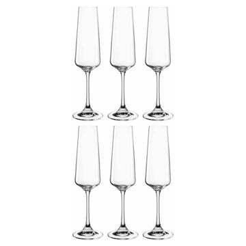 Leonardo - PALADINO Champagne Glasses 220 ml - Pack of 6