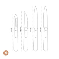 Opinel - Les Essentiels 4-delige Messenset Klein - Beukenhout Opinel 