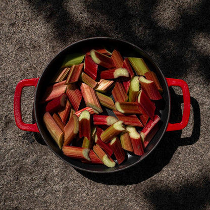 COMBEKK - Sous-Chef Koekenpan Dubbel Handvat 24CM - Rood Koekenpan Combekk 